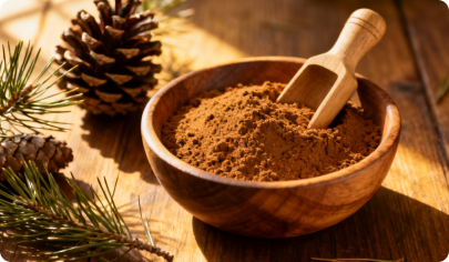 Pine Bark Extract